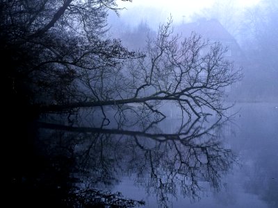 Water Nature Reflection Fog