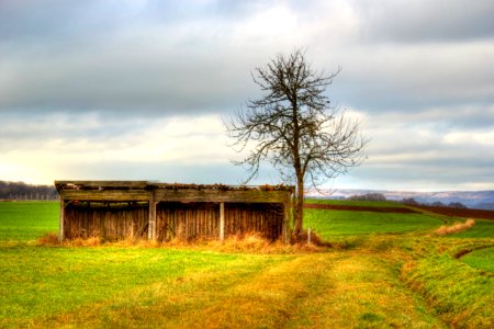 Grassland Field Sky Pasture