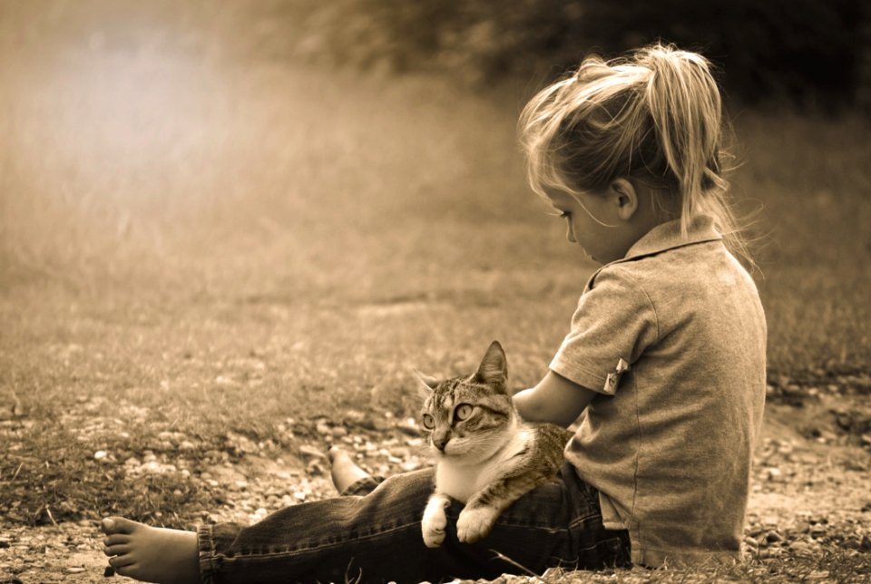 Child Play Happy Cat