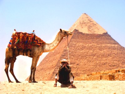 Camel Desert Pyramid