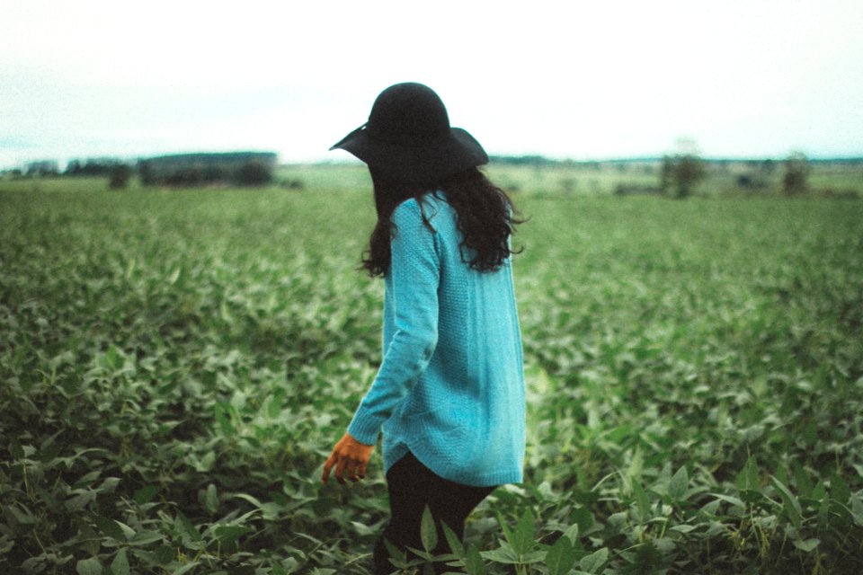 Grass Field Agriculture Crop