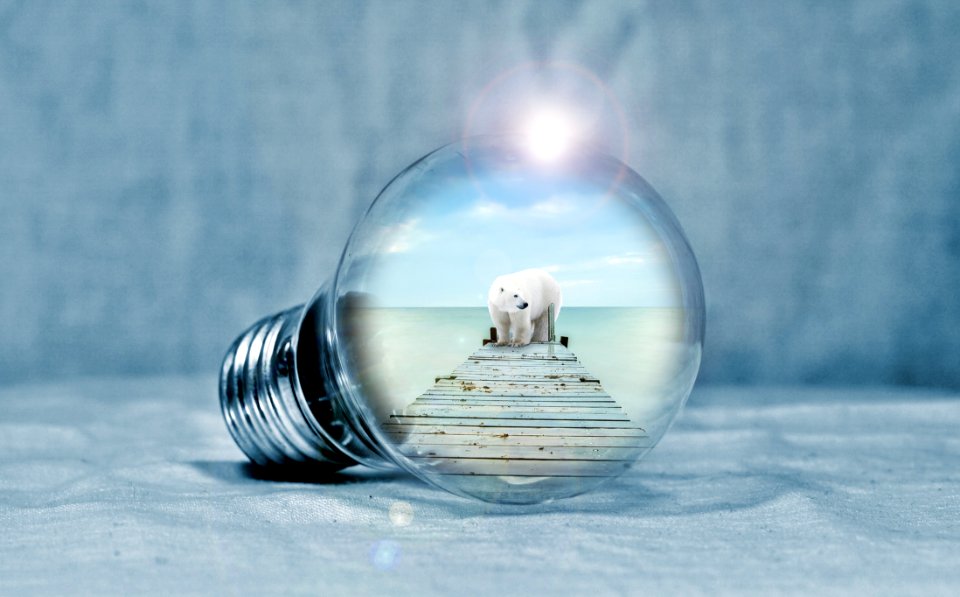 Water Product Design Reflection Energy