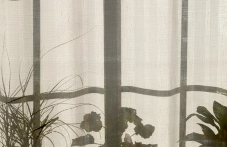 Structure Textile Window Interior Design