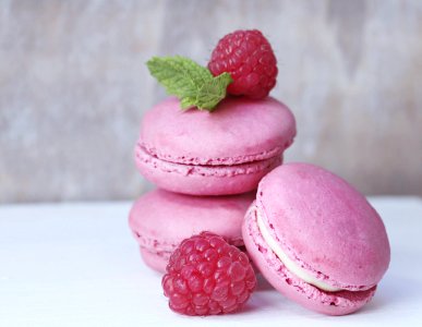 Macaroon Dessert Sweetness Berry