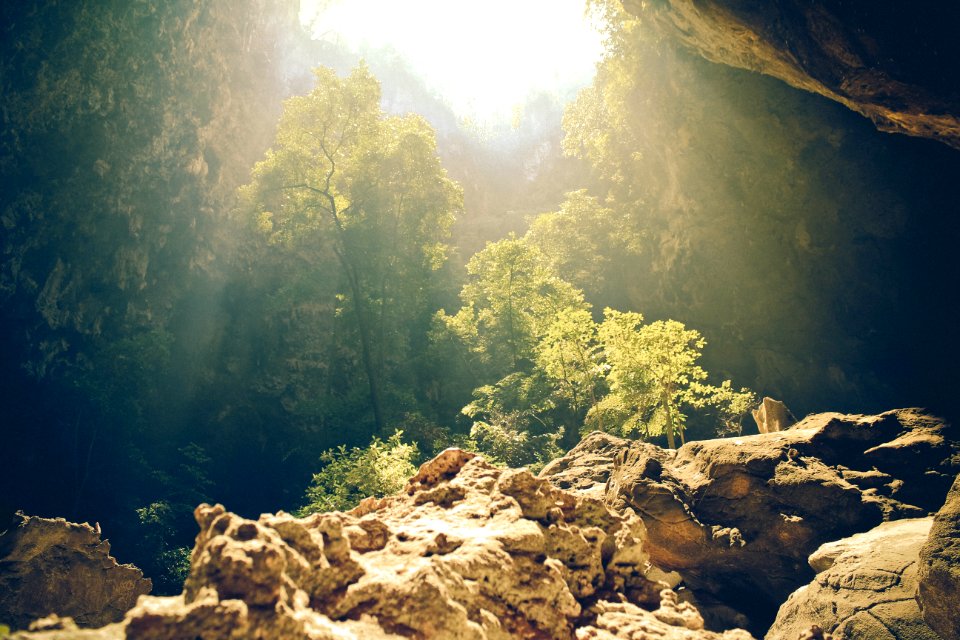 Nature Water Rock Vegetation