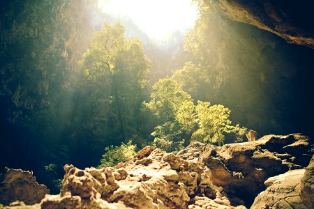 Nature Water Rock Vegetation