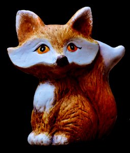 Cat Small To Medium Sized Cats Whiskers Carnivoran