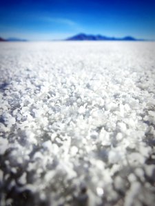 Salt Plains