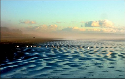 New Brighton Beach