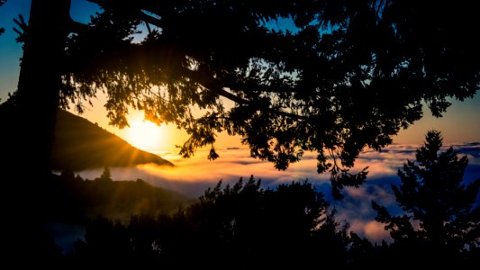 Mount Tam Sunrise photo