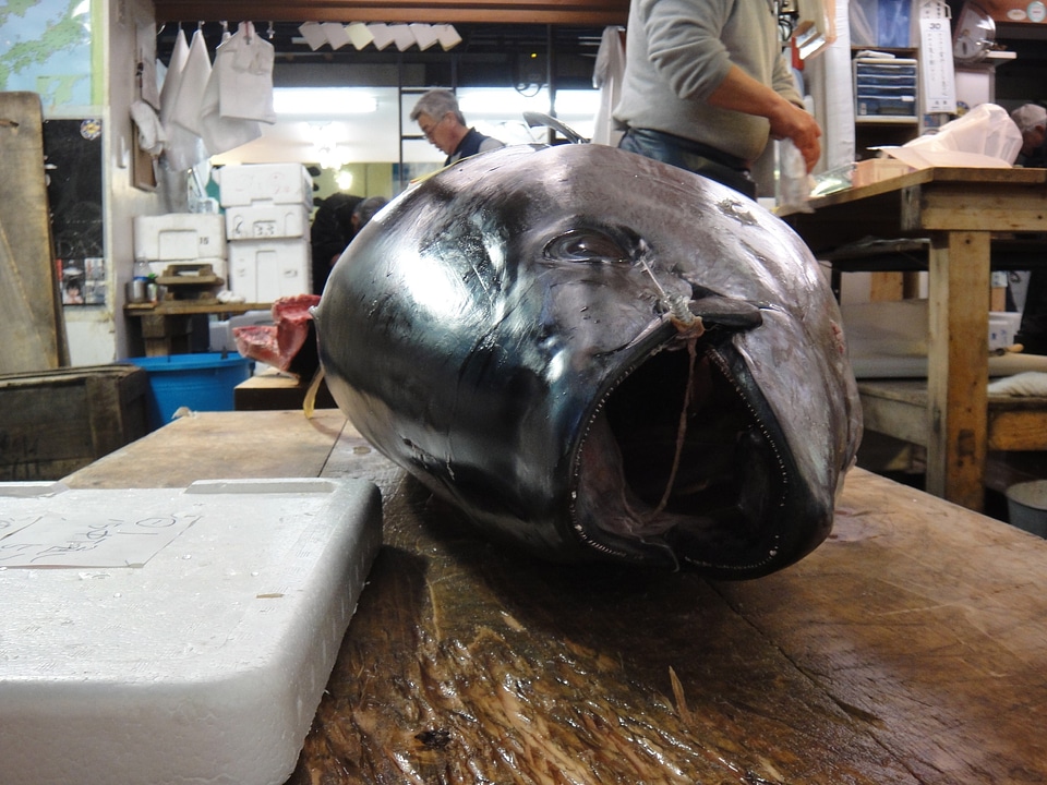 Tsukiji japan attraction