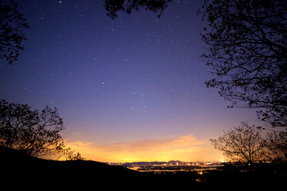 Stars Trees Landscape