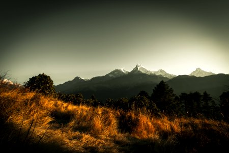 First Light
