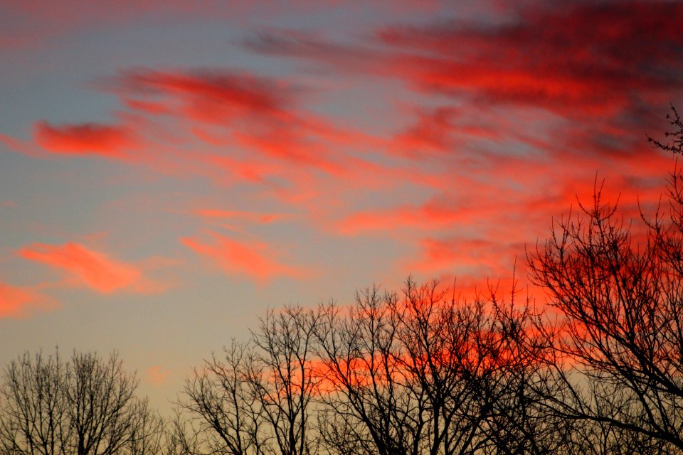 Sunrise On The Farm