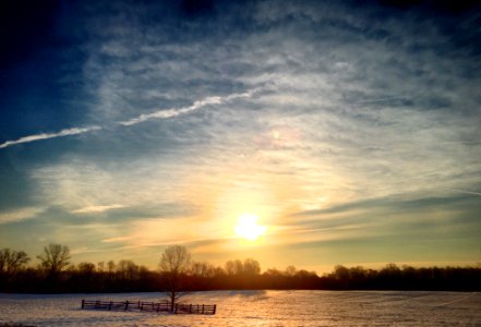 Morning Glory photo