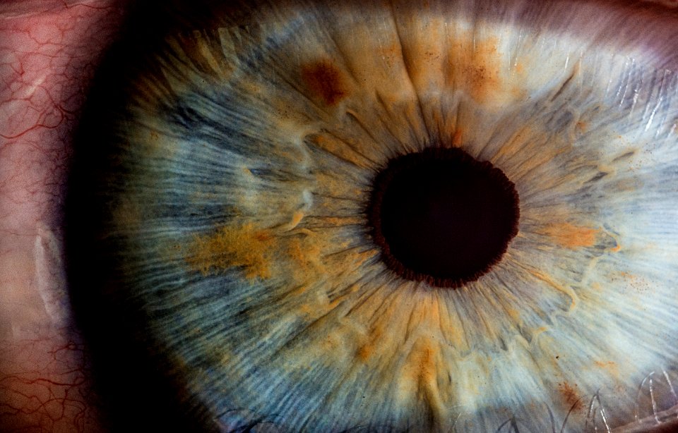 Eye Iris Close Up Eyelash
