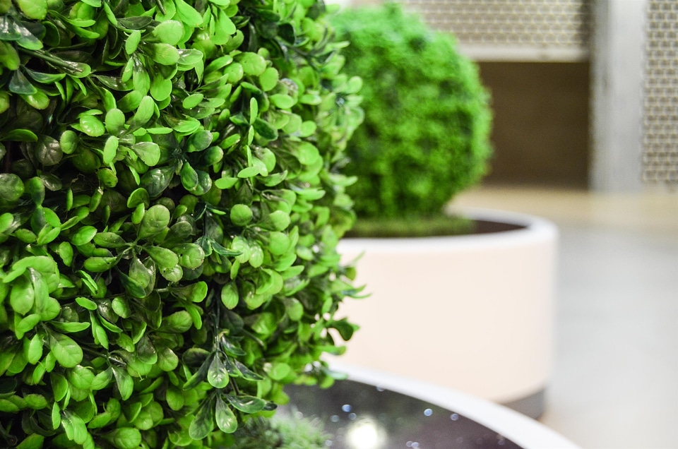 Artificial plant dashing