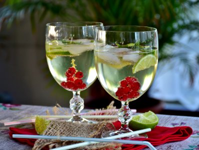 Drink Stemware Champagne Stemware Wine Glass photo
