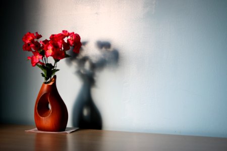 Flower Red Still Life Photography Vase