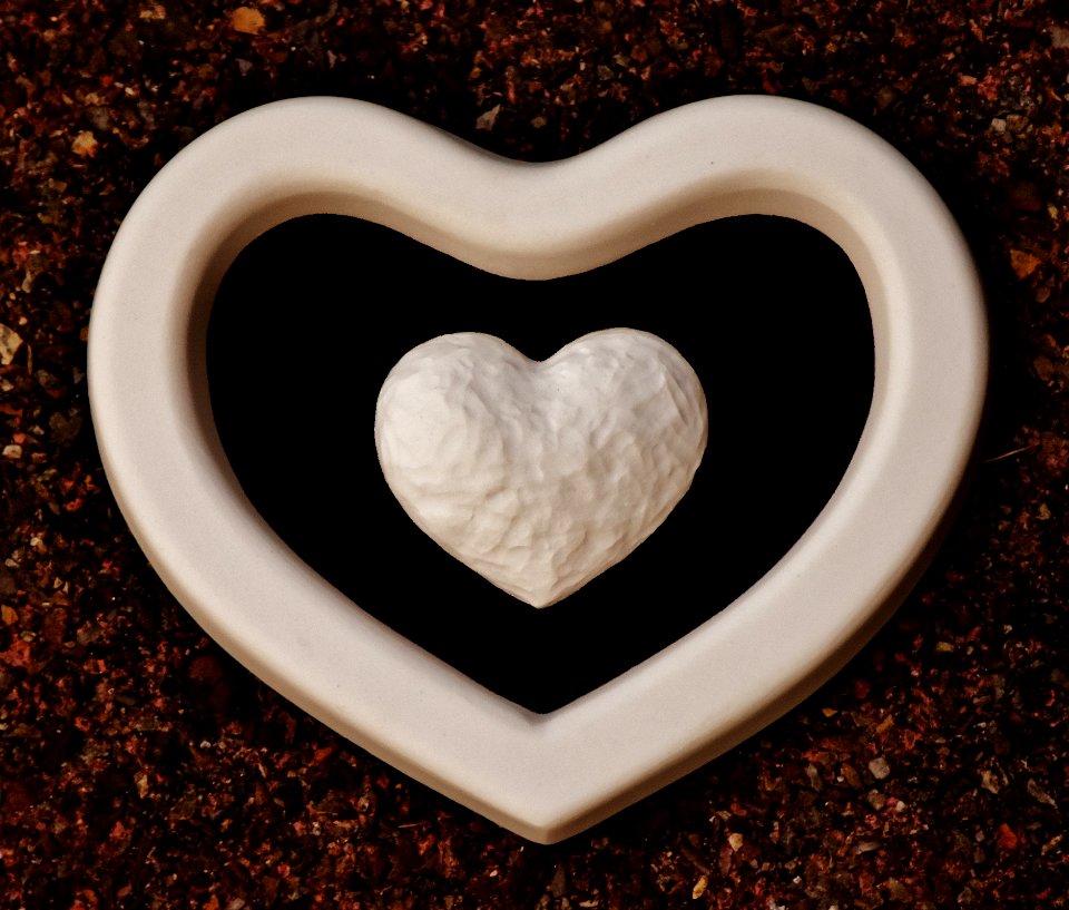 Cup Heart Still Life Photography