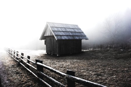 Fog Black And White Phenomenon Morning