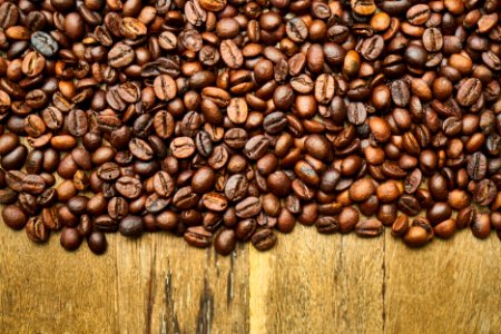 Jamaican Blue Mountain Coffee Cocoa Bean Bean Caffeine photo