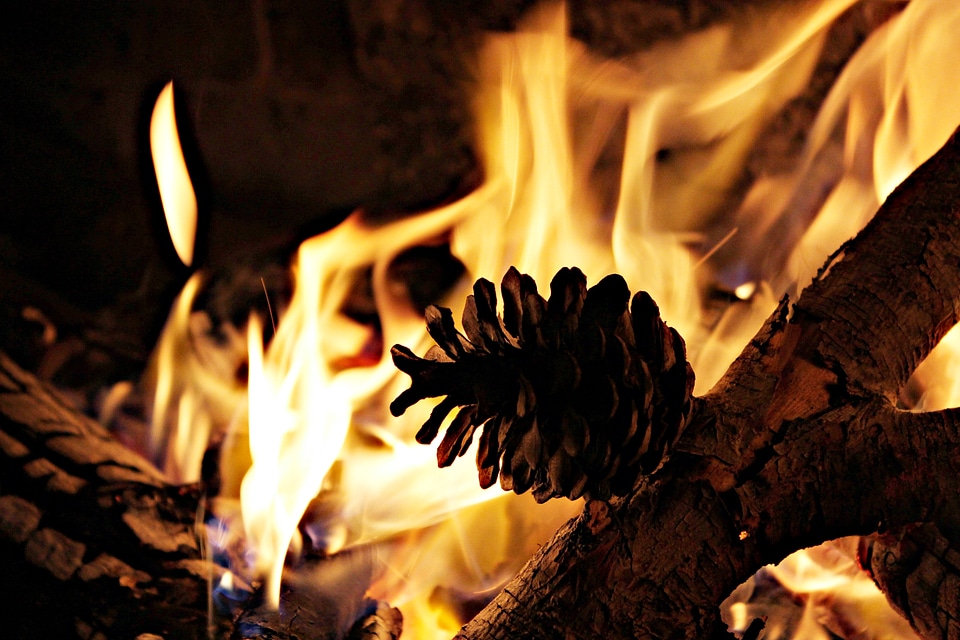 Pineapple warmth winter