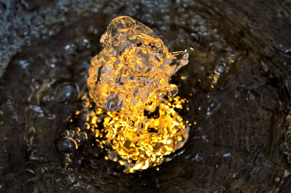 Rock Organism Mineral Amphibian