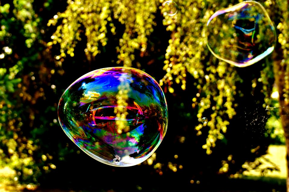 Nature Reflection Liquid Bubble Water photo