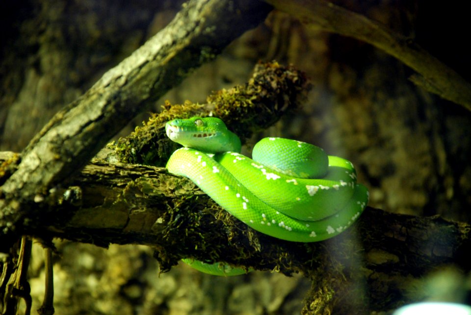 Vegetation Ecosystem Water Organism
