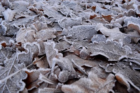 Frost Freezing Geology Winter photo