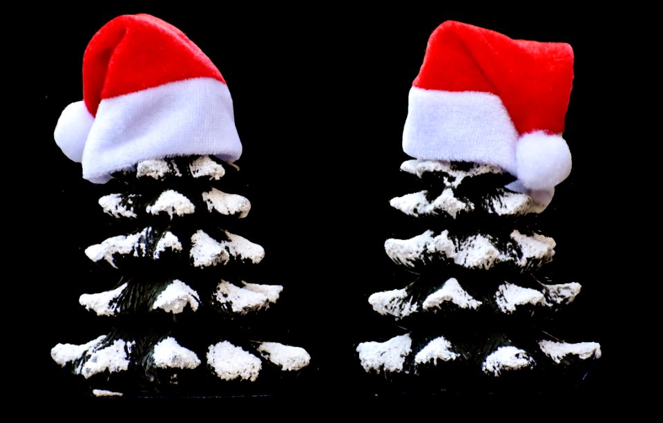 Christmas Decoration Christmas Tree Fictional Character Santa Claus