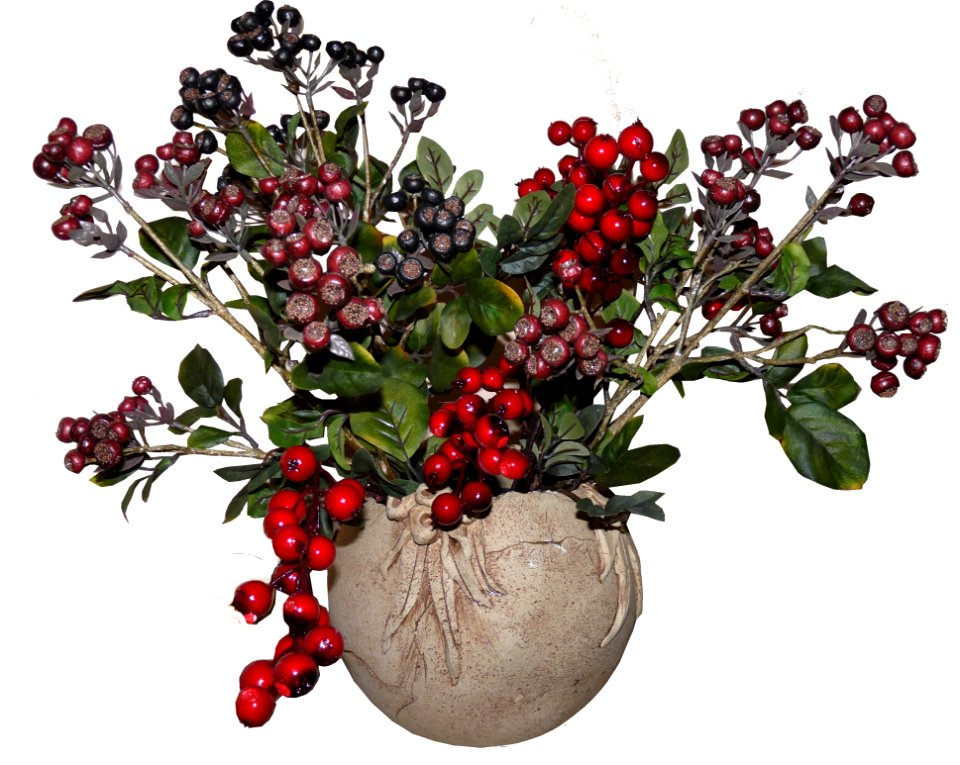 Plant Flower Flowerpot Fruit