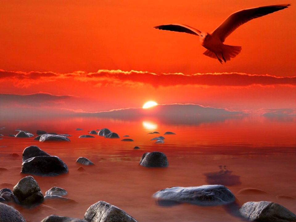 Sky Sunrise Shore Sea