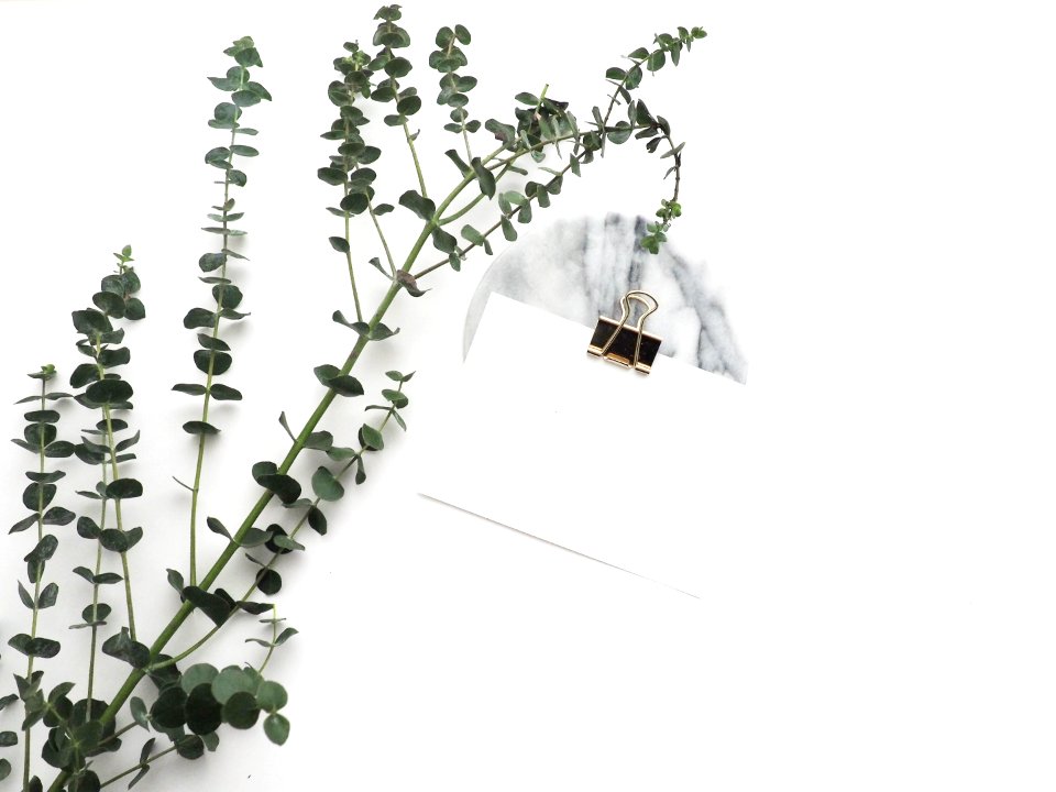 Plant Flowerpot Flower Product Design