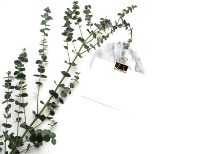 Plant Flowerpot Flower Product Design