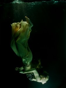Underwater Water Organism Marine Biology
