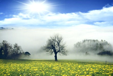 Grassland Field Sky Meadow photo