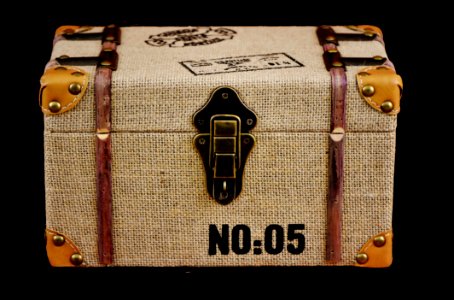 Yellow Bag Brown Handbag