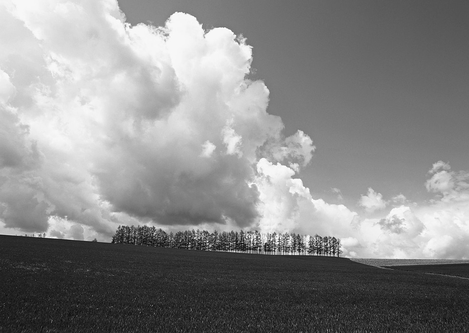 Sky white cloud black and white