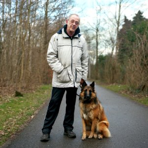 Dog Dog Like Mammal Dog Breed Mammal