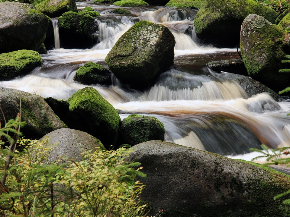 Flowing river forest photo