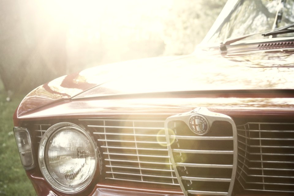 Alfa Romeo Grill Front