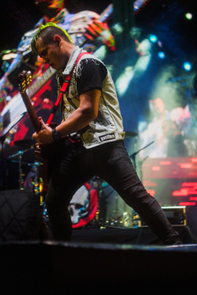Guitarist