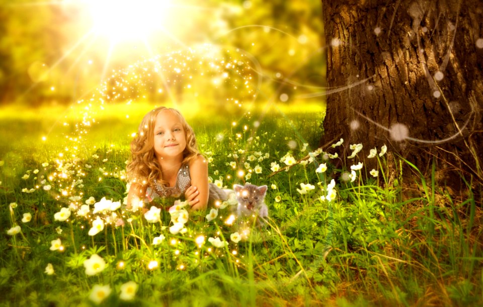 Nature Photograph Grass Spring