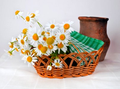 Flowerpot Vase Basket Flower photo