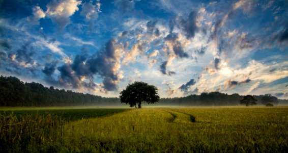 Sky Grassland Nature Field