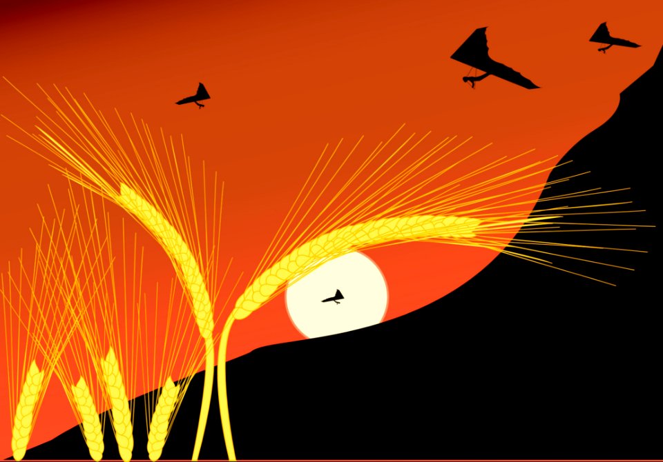 Orange Sky Line Computer Wallpaper