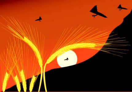 Orange Sky Line Computer Wallpaper