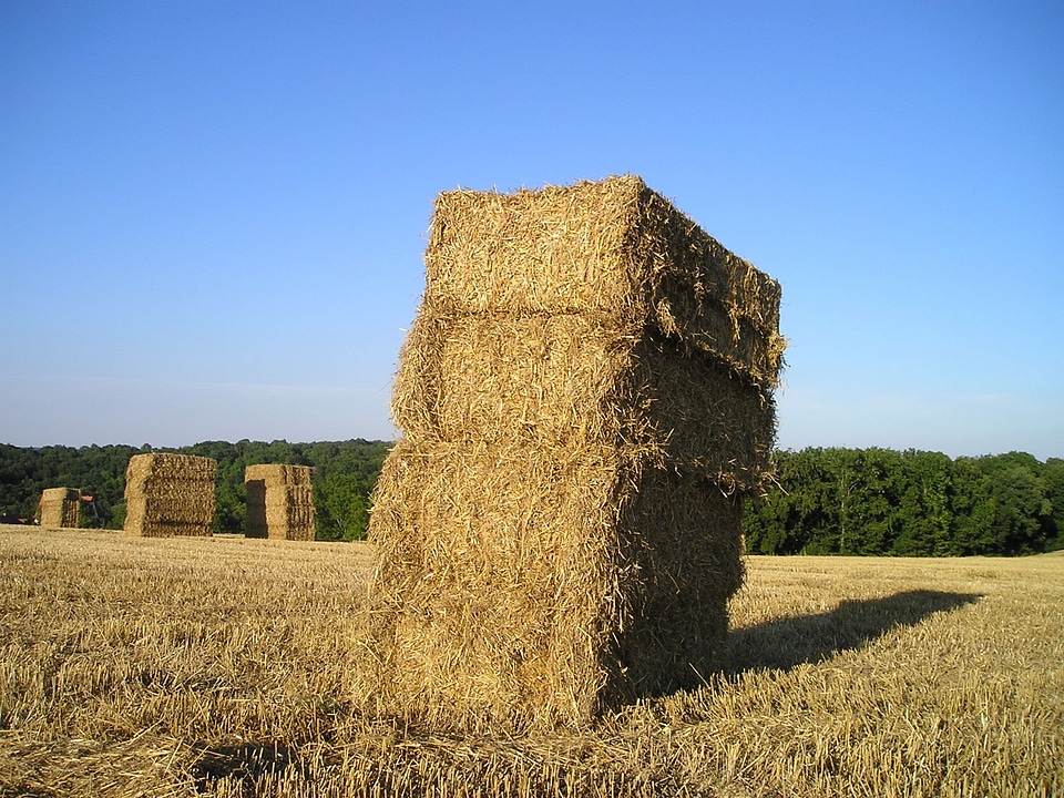 Agriculture arable field